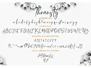 Thransty Handwritten Business Font