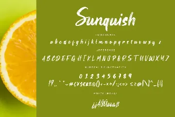 Sunquish Stylish Business Font