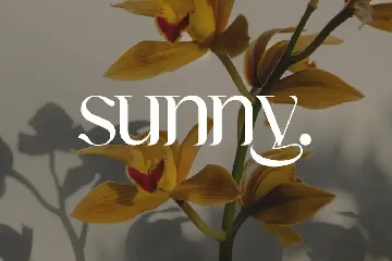 Aishwarya Luxury Serif Font