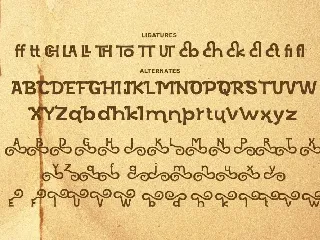 Vorgane Display Font