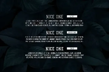 Nice One Display Font Family