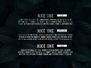 Nice One Display Font Family