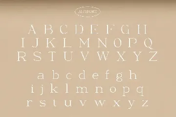 Moeda - Luxury Serif Font