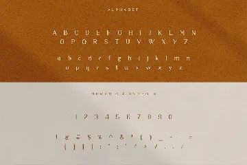 Moetya - Elegant Serif Font