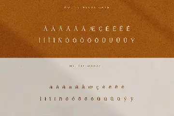 Moetya - Elegant Serif Font