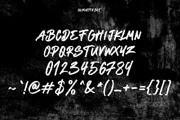 Reflecta Script Graffiti Style Font