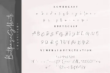 Brittanya Goldenite Signature Business Font