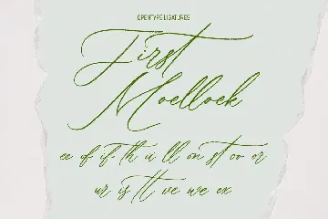 Bellychestor Elegant Signature Script Font