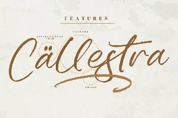 Hallight Elegant Script Font