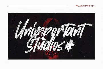 Street Walks Brush Script Font