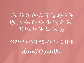 Birdlove Script Font