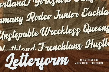 Agies Fresh - Retro Bold Script Font