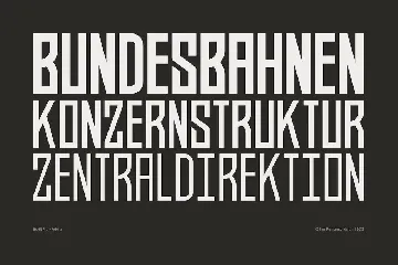 BAHN Pro - FAMILY font