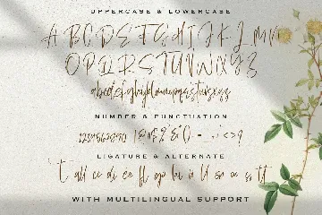 Sellviny Queen - Handwritten Font