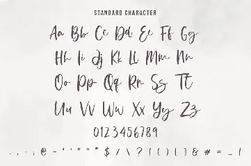 Donittan Story - Modern Signature Font