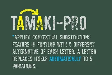 Tamaki-Pro font