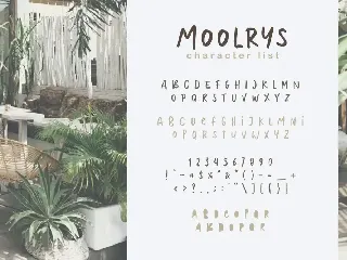 Moolrys font