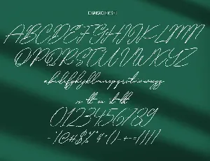 Qualyters Script Font