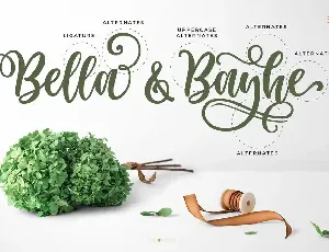 Haniberryku - Beautiful Script Font