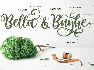 Haniberryku - Beautiful Script Font