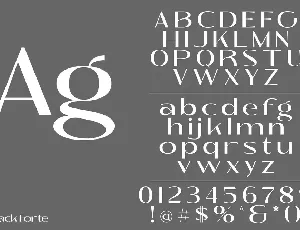 Black Forte - Sans serif Display font