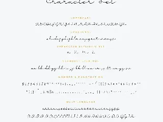 Berssua Script and Handwritten Font