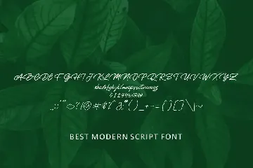 Rottana Font