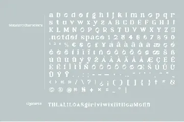 Windec - Serif Display Font