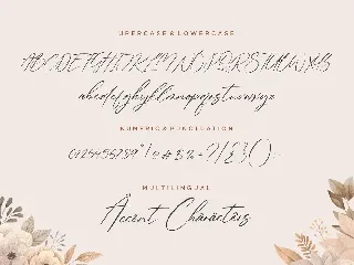 Jacquelina Script Font