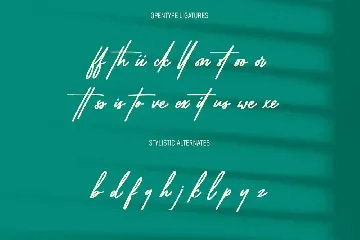 Blywoofs Signature Font