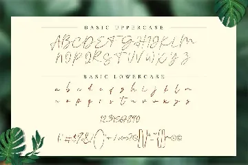 Vallenia Script Font