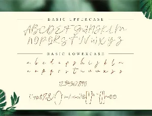 Vallenia Script Font