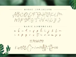 Vallenia Script Font