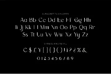 Diore Bonneg - Aesthetic Display Font