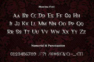 Homina font