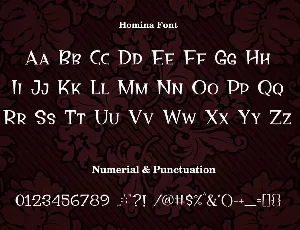 Homina font