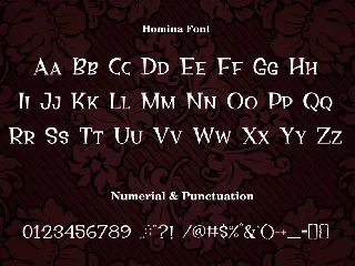 Homina font