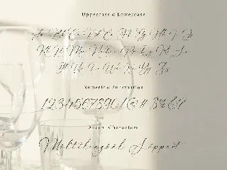 Rusticglam Script Font