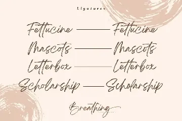 Breathing Brush Signature Font