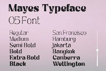 Mayes - Variable Font