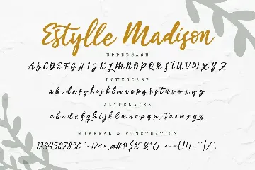 Estylle Madison Business Font