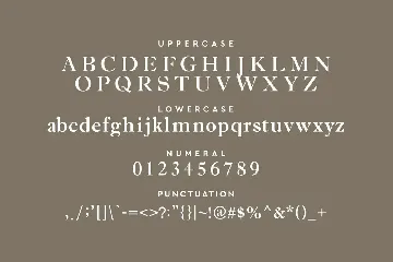 Herequ Font