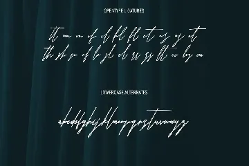 Quintaras Signature Script Extras Sans Serif Font