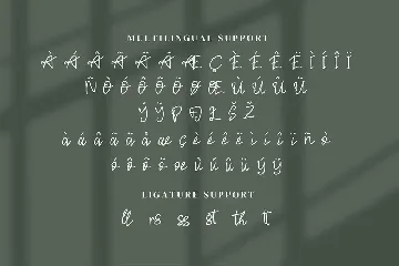 Gratte Passie - Modern Script fonts