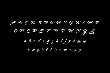 Salemon Font