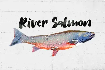 Salmon Brush Font