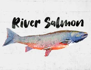 Salmon Brush Font