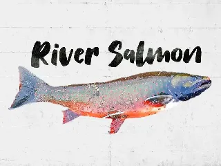 Salmon Brush Font