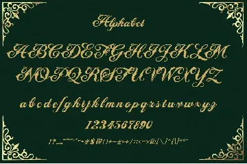 Thomeda font