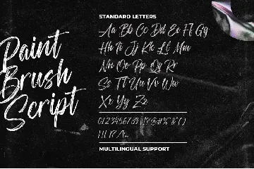 Paint Brush Script - Logo Font